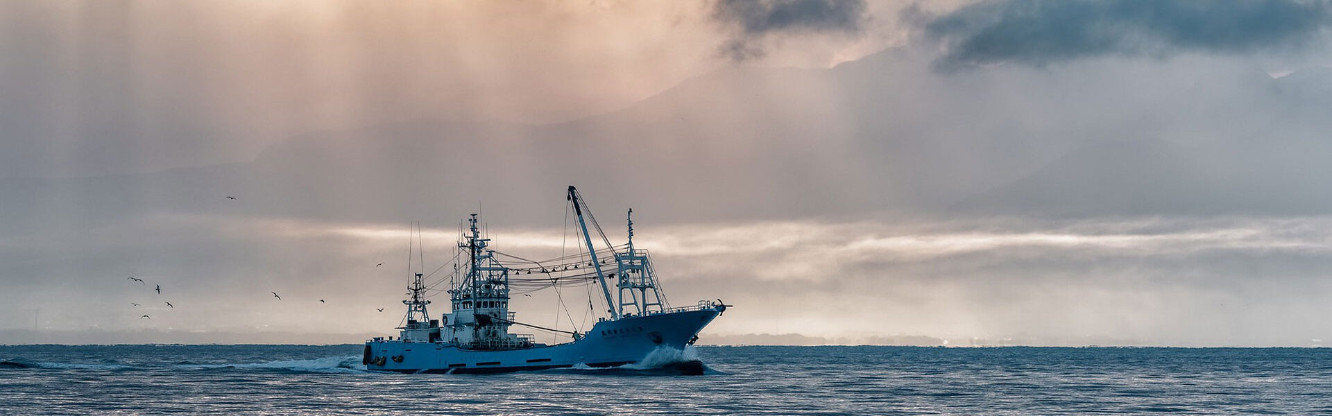 福島原発の処理水放出 懸念される影響と風評被害