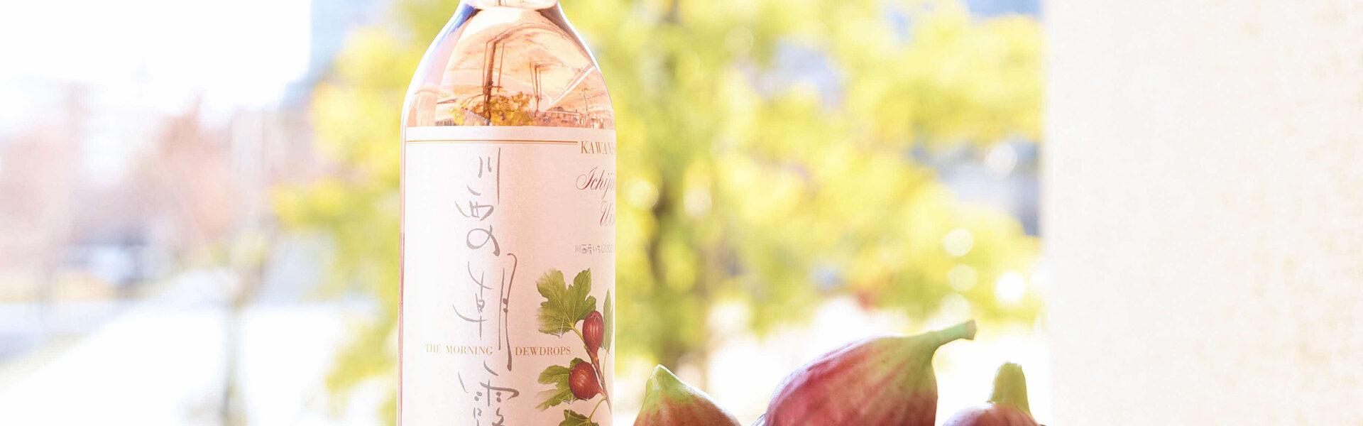 兵庫県川西市特産の100%いちじくワイン