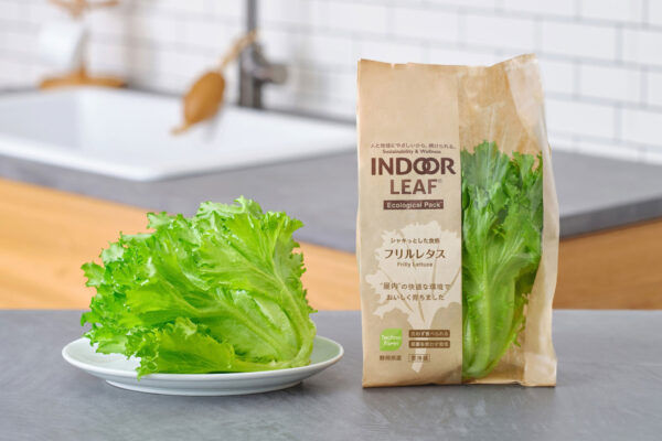 お得で手軽な無農薬リーフレタス「INDOOR LEAF」新発売