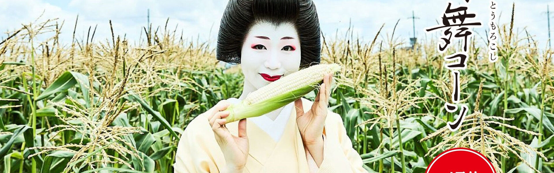 舞妓のように白いとうもろこし「京都舞コーン」予約受付中！