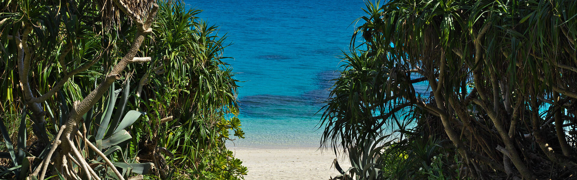 琉球文化が生み出したうちなー料理!沖縄そばにゴーヤチャンプルー、タコライス、ポーク玉子おにぎり、ジーマーミ豆腐などなど、美味しい料理が盛りだくさん!