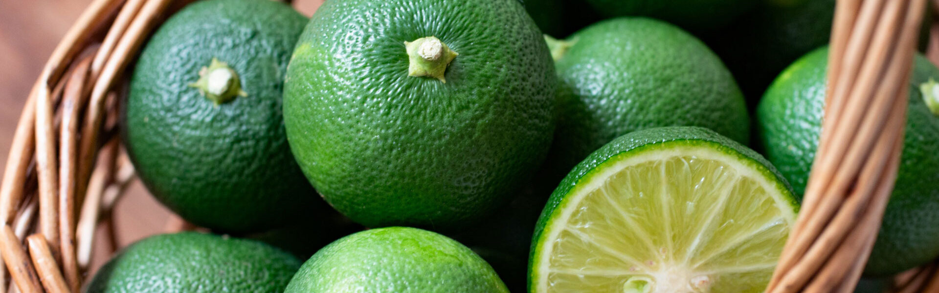 大阪府枚方市の枚方T-SITEにて、8月23日・24日に「阿波徳島 小松島まるごと特産品フェア」を開催！