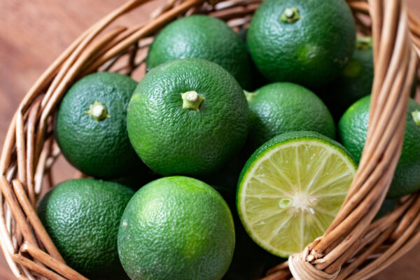 枚方にて徳島県小松島市フェア