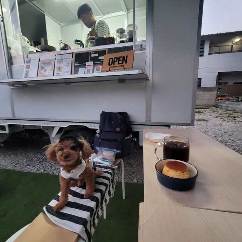 犬の散歩の途中に立ち寄ってくださる方も！