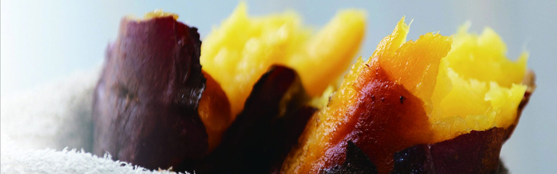 全国から焼き芋専門店や芋スイーツ店が集結する「芋フェス」が、2月8日・9日に名古屋オアシス21地上公園にて開催!