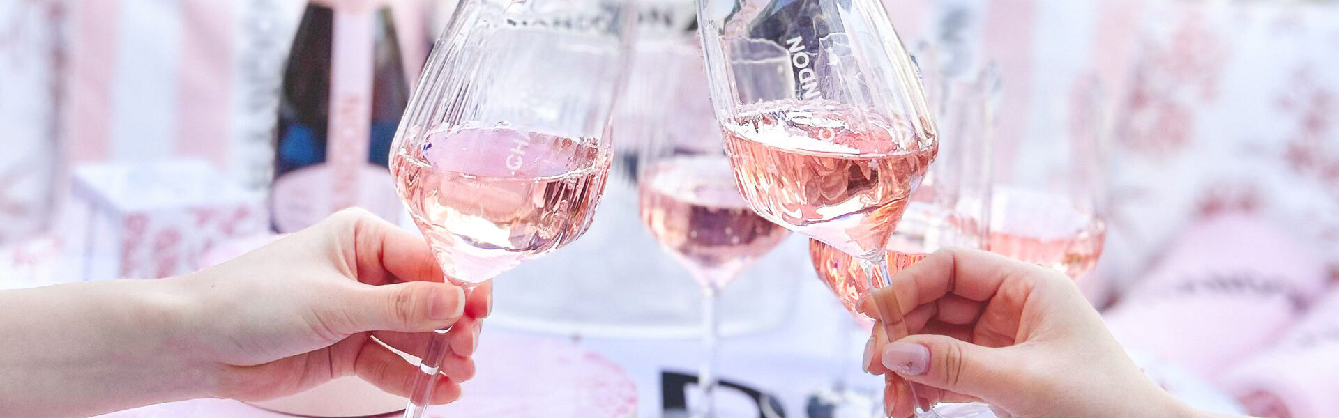 貸切クルージングサービスを展開する「アニバーサリークルーズ」は、今年も目黒川お花見CHANDONクルーズを開催！