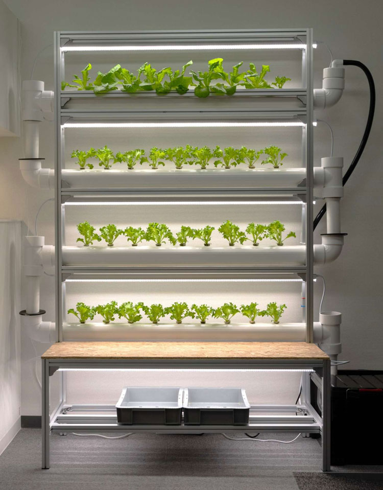 「AGROT40」 - スパイスキューブ株式会社