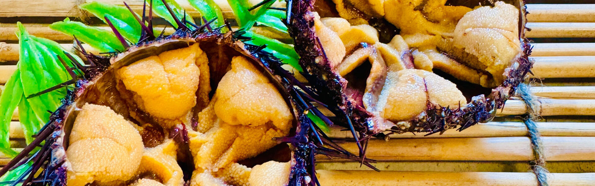 愛知県豊田市「GAZA専門店街南広場」にて厳選された生ウニが一堂に会するイベント「ウニ奉行 2025」が開催