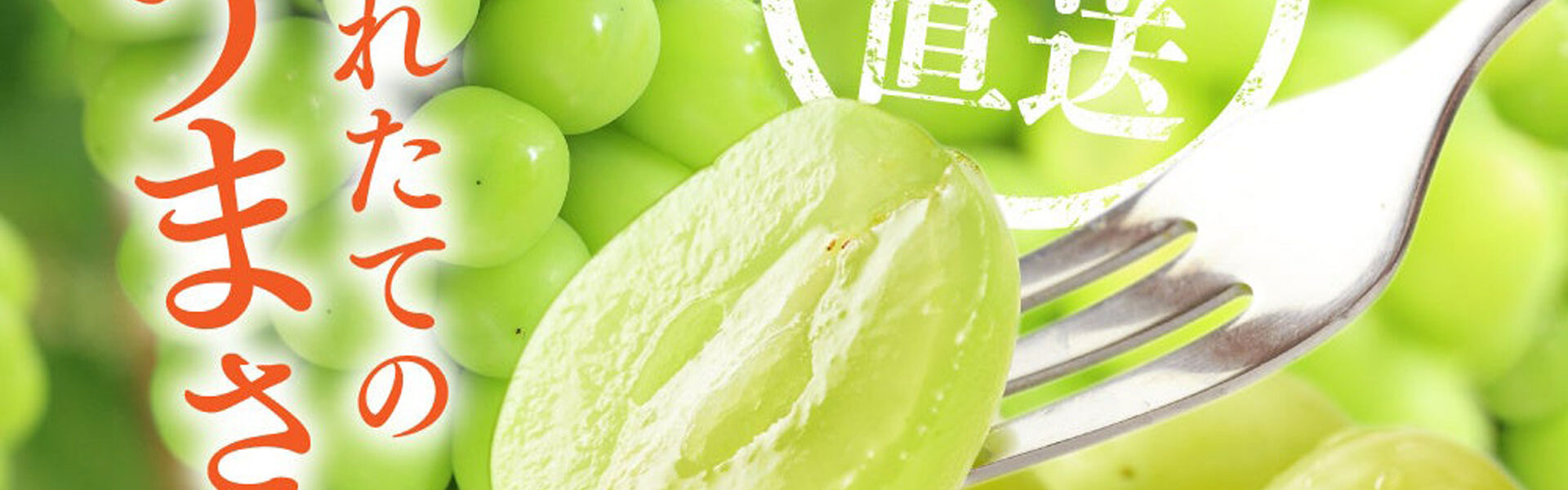 RAKUSAIは、長野県の岡木農園が丹精込めて育てた「至高のシャインマスカット」を公式オンラインショップにて9月15日まで数量限定で販売中！