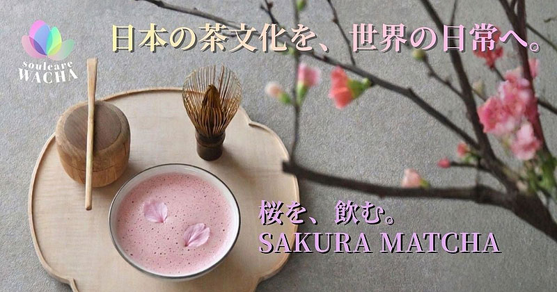 ボタニカル抹茶ブランドWACHA（ワチャ）は、ノンカフェインのピンク抹茶「SAKURA MATCHA（桜抹茶）」コレクションを春限定で発売！