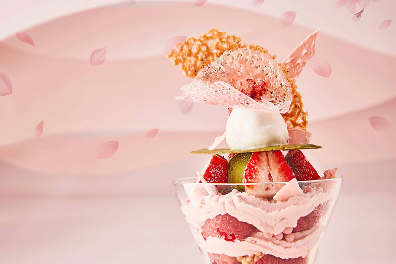 「ショコラティエ パレオドール」では、桜・抹茶・いちごの春限定のパフェと春限定ショコラの販売を開始！