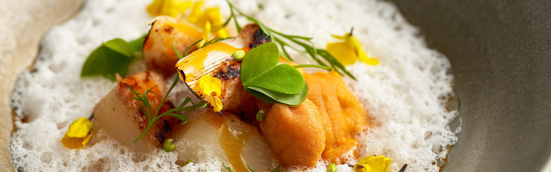 ギャリア・二条城 京都のメインダイニング 眞蔵（シングラー）にて京都近郊の旬の食材を取り入れたフレンチとうまみが織りなすキュイジーヌコースの提供を開始。