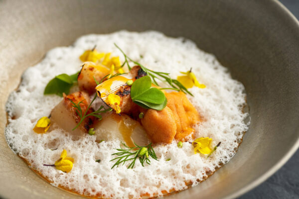 二条城近くで和のフレンチコース